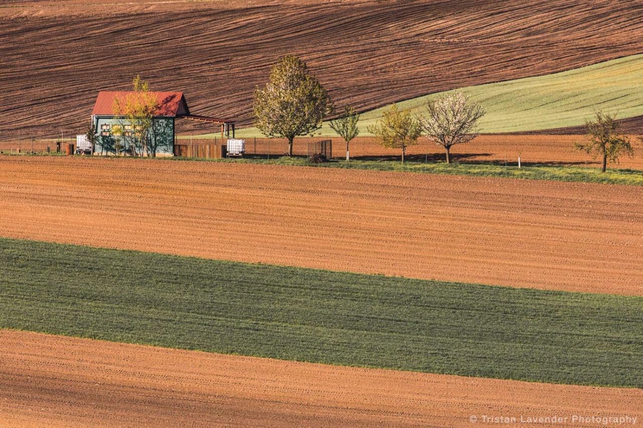 Moravske Toskansko Stavesice Exterior foto